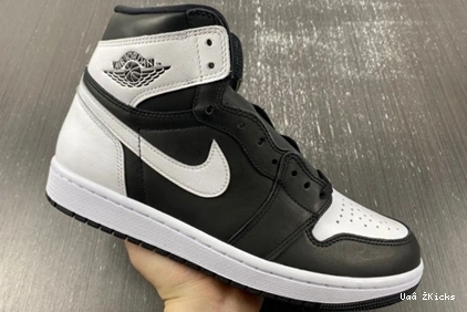 Panda” OG 65 Cozy “Reverse 1 DZ5485-010 Air High Jordan 0806
